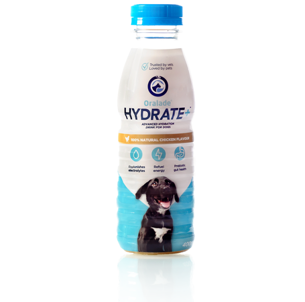 Regeneration - Vitalität - Leistung category icon/image