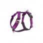 Preview: Dog Copenhagen Comfort Walk Harness Air Purple Passion (lila) V2