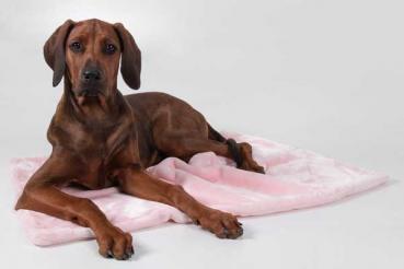 Coco - Kuscheldecke rosa