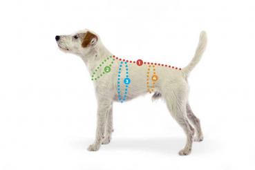 Preview: Pomppa Perus petrol Gr. 28 (ohne Geschirröffnung)