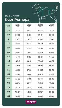 Preview: Kuori Pomppa Artic