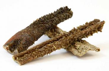 Lammpansen getrocknet