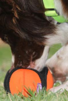 Preview: Puppingtons Pods mit Schlaufe L