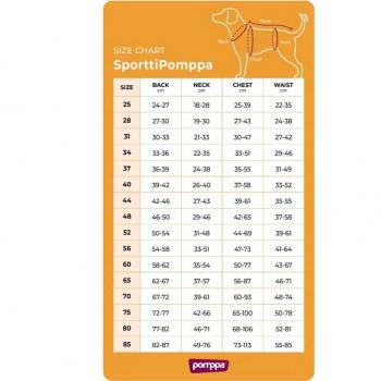 Preview: SporttiPomppa Artic