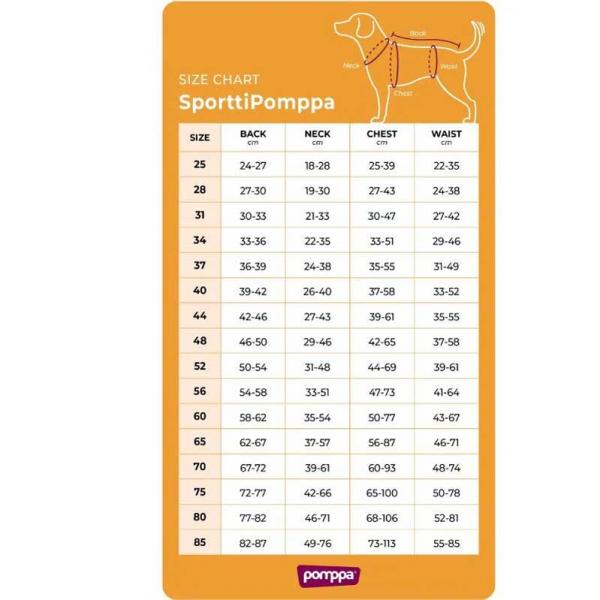 SporttiPomppa Artic